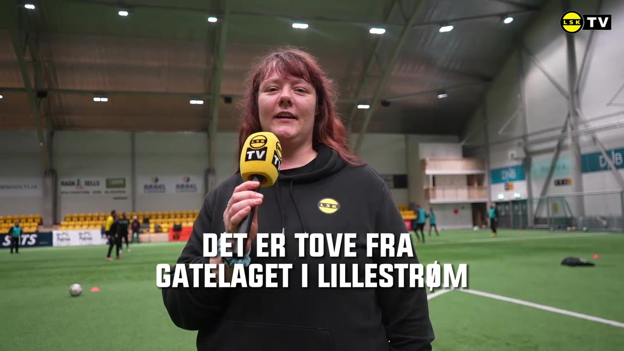 Tove fra Gatelaget - liggende